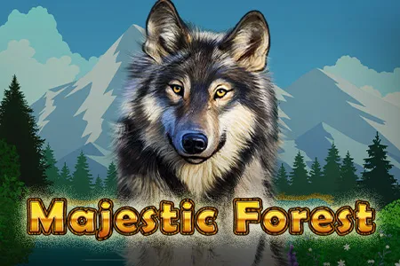 Majestic Forest